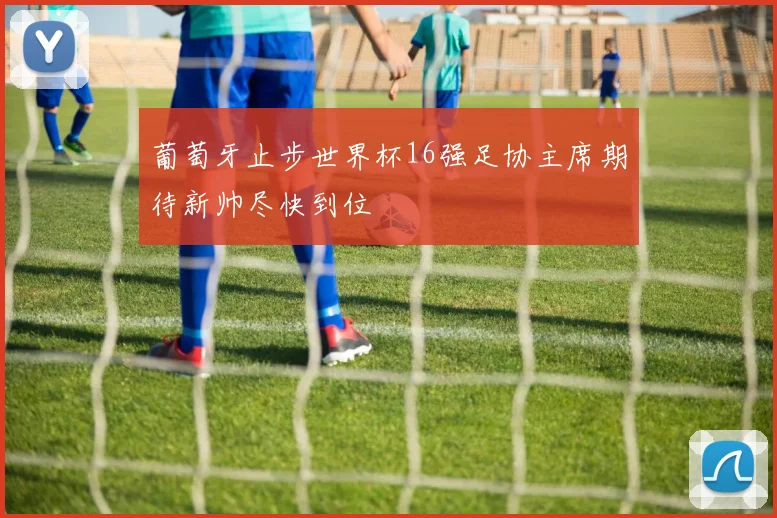 葡萄牙止步世界杯16强足协主席期待新帅尽快到位