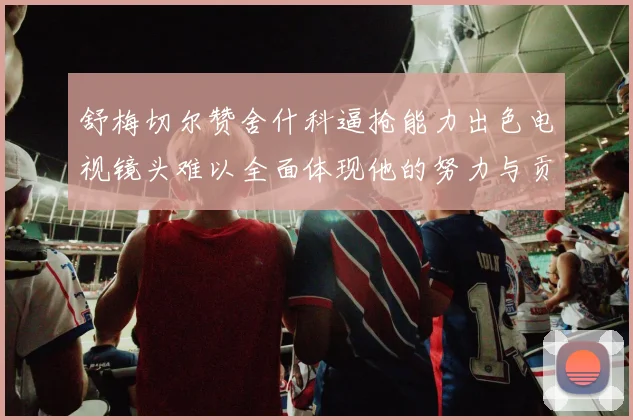 舒梅切尔赞舍什科逼抢能力出色电视镜头难以全面体现他的努力与贡献